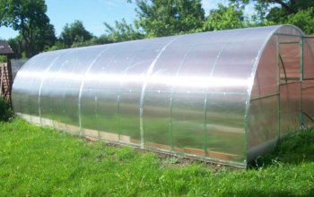 Теплицы и парники