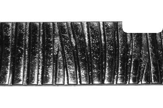 Полоса Арт. 40411П